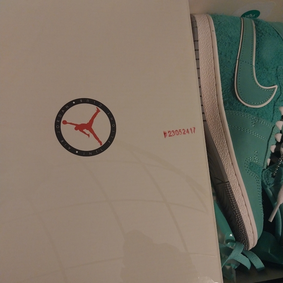 Jordan Airship ×Corporate Got EM - Picture 3 of 12